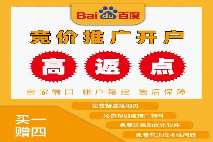 怎样做百度推广：成功案例分析与策略